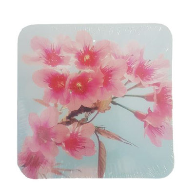 Luxe onderzetter met bloesem - Roze / Blauw - Set van 6 - MDF / Kurk