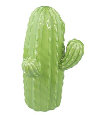 Decoratie cactus - Groen - 16x21.5cm