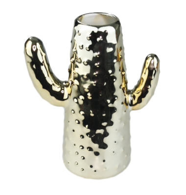 Cactus vaasje - Goud - 12x6x14.5cm