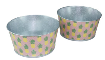 Bloempot Ananas - Set van 2 - Groen / Roze - Zink - Ø20x10 cm