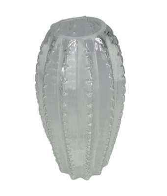 Cactus vaas WILHELM - Transparant - Glas - Ø12 x h25 cm